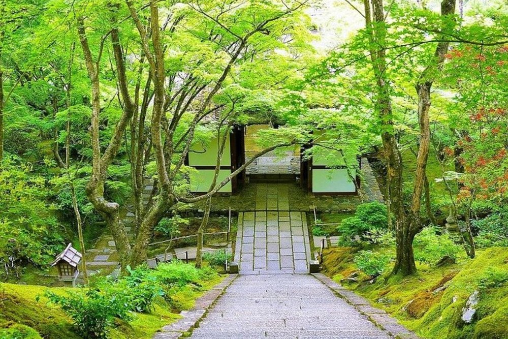 15:00 - 16:00: Ghé Chùa Jōjakkō-Ji Giữa Rừng Xanh
