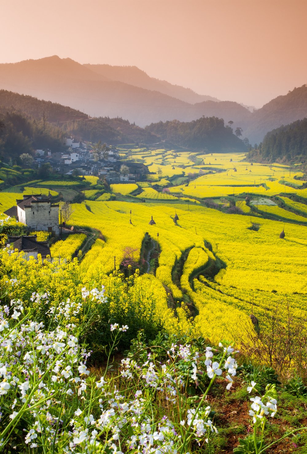 อู่หยวน (Wuyuan) 
