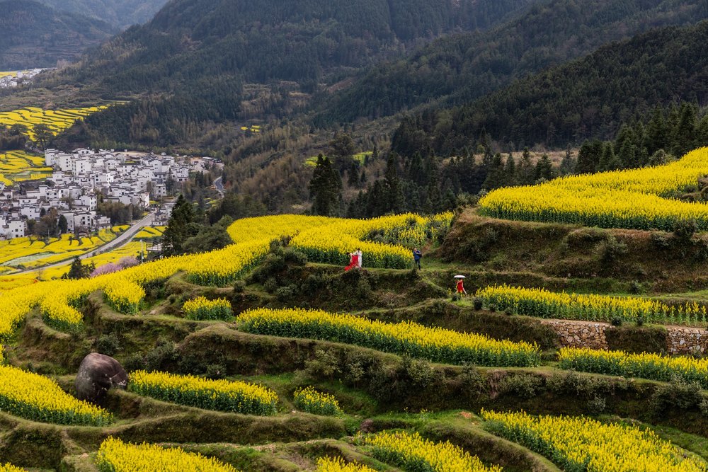 เจียงหลิง (Jiangling) อู่หยวน (Wuyuan)