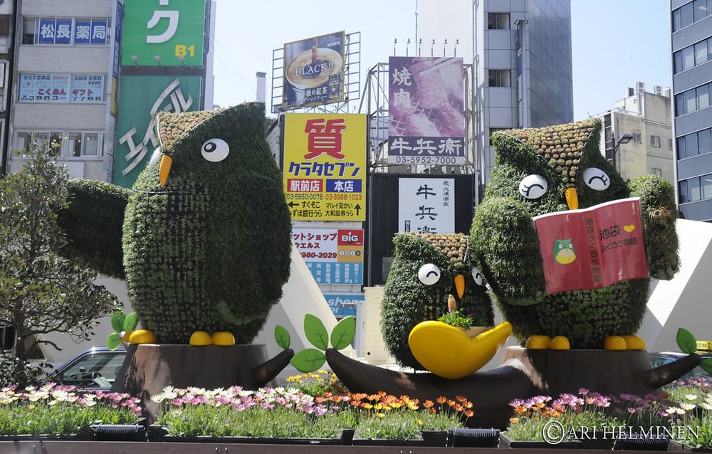 Owls of Ikebukuro | Photo by Ari Helminen on Flickr
