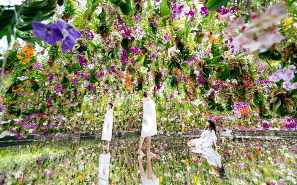 Floating Flower Garden installation at the teamLab Planets, Tokyo