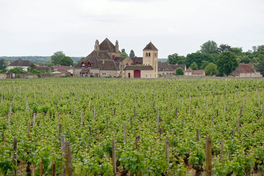 Clos de Vougeot Castle surrounded by a vineyard in Bourgogne
