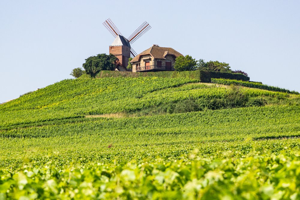 Moulin de Verzenay, Champagne