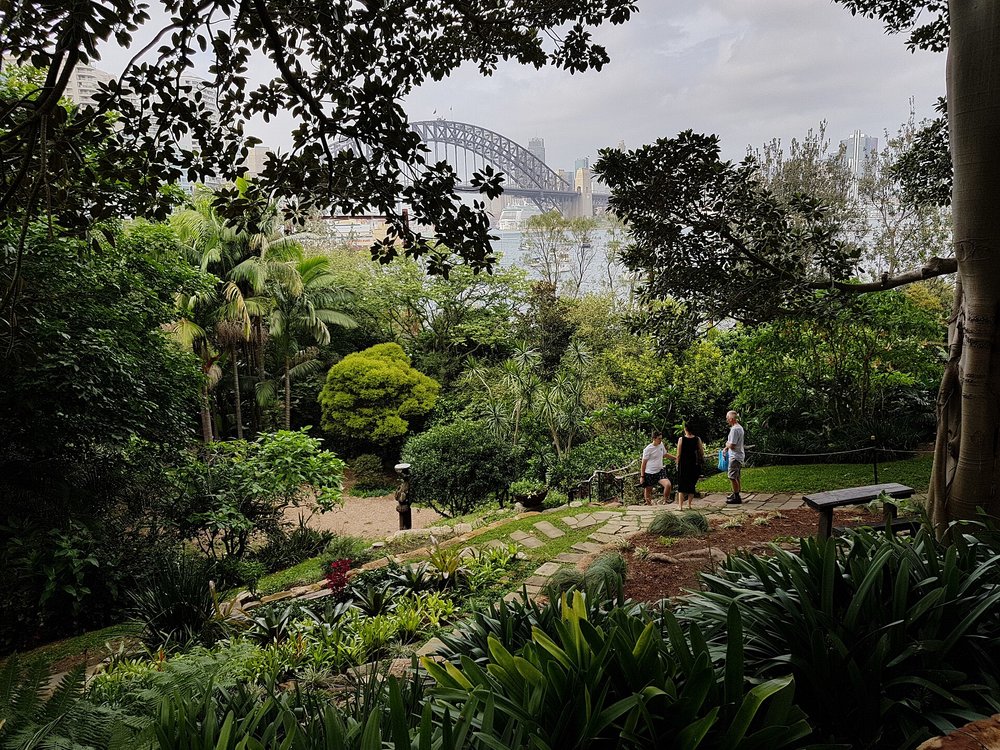 Wendy’s Secret Garden with lush greenery and harbor views | Photo from Vic161015 on Wikimedia Commons