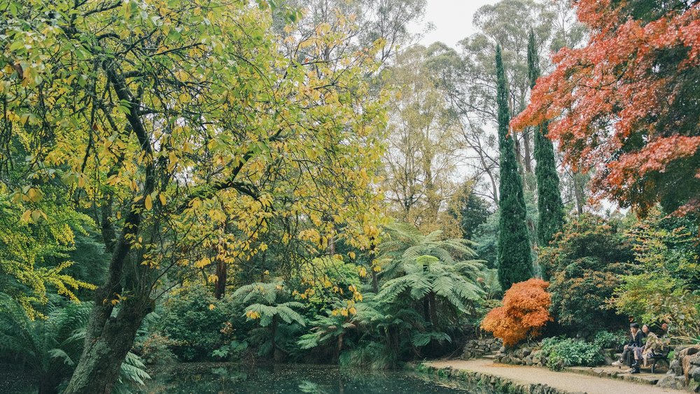 Alfred Nicholas Memorial Gardens during vibrant autumn season | Photo from Shashank Brahmavar on Pexels