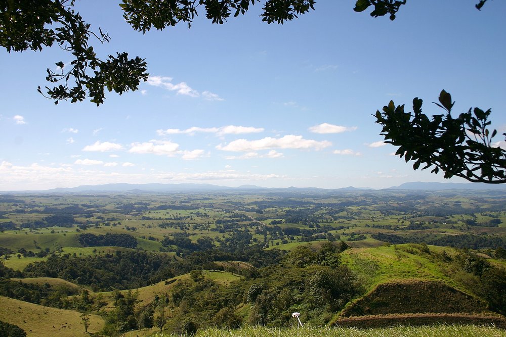 Scenic rainforest and rolling hills in Atherton Tablelands | Photo from Mike Lehmann on Wikimedia Commons