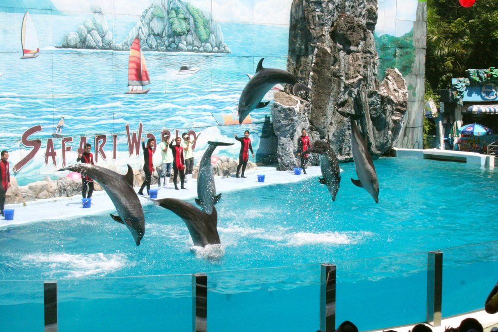 Safari World Bangkok - Điểm Đến Không Thể Bỏ Qua Cho Hội Yêu Động Vật