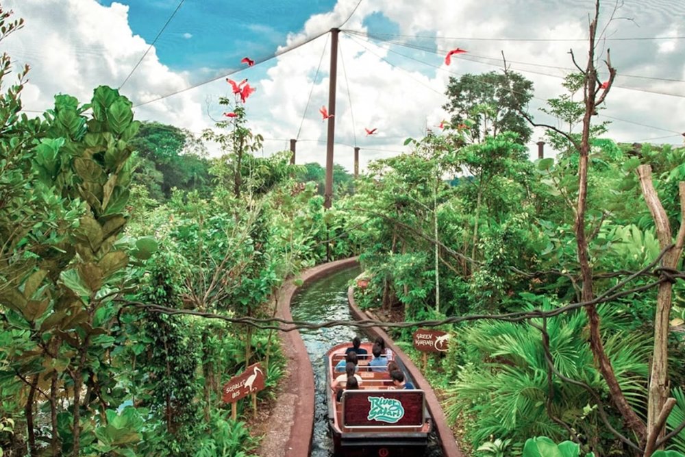 Buổi Sáng: Khám Phá Safari Park - Vương Quốc Động Vật Hoang Dã