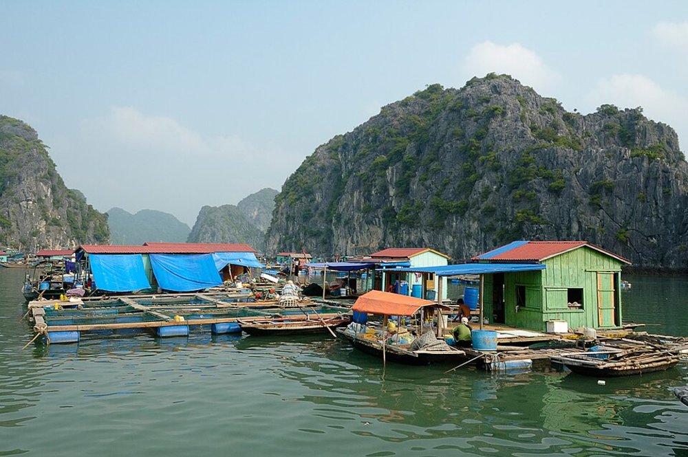 Floating fishing village in Halong Bay with wooden houses, boats, and limestone mountains in the background