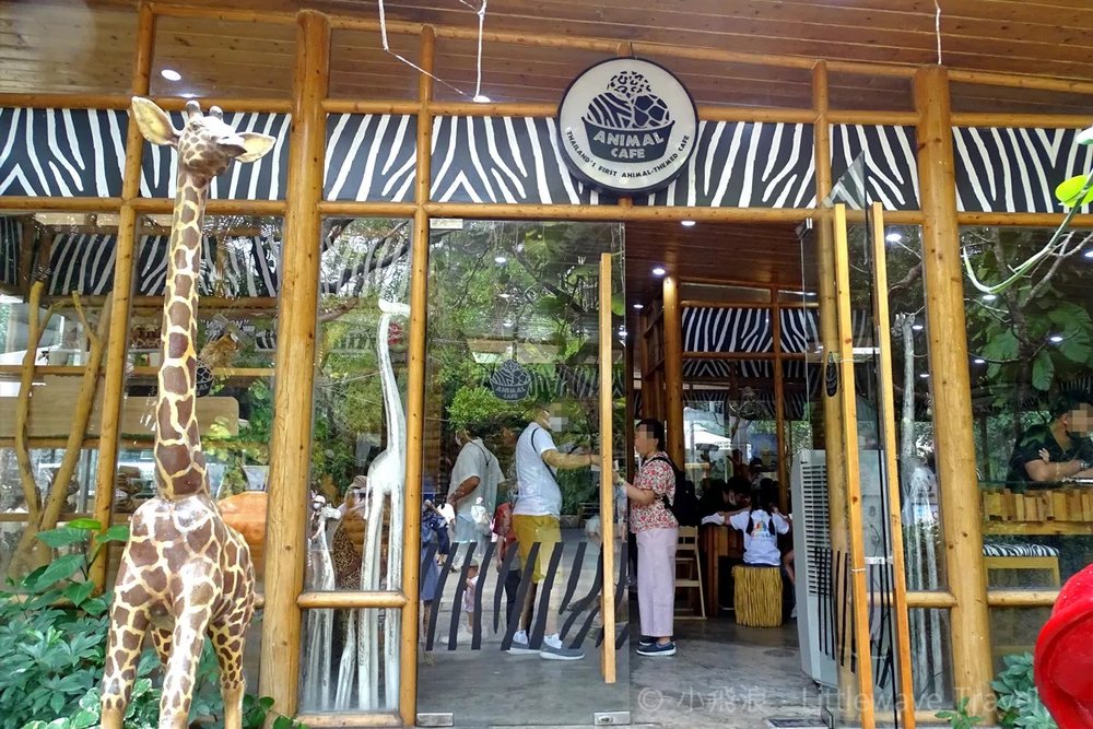 Buổi Trưa: Nghỉ Ngơi và Ăn Trưa Tại Marine Park