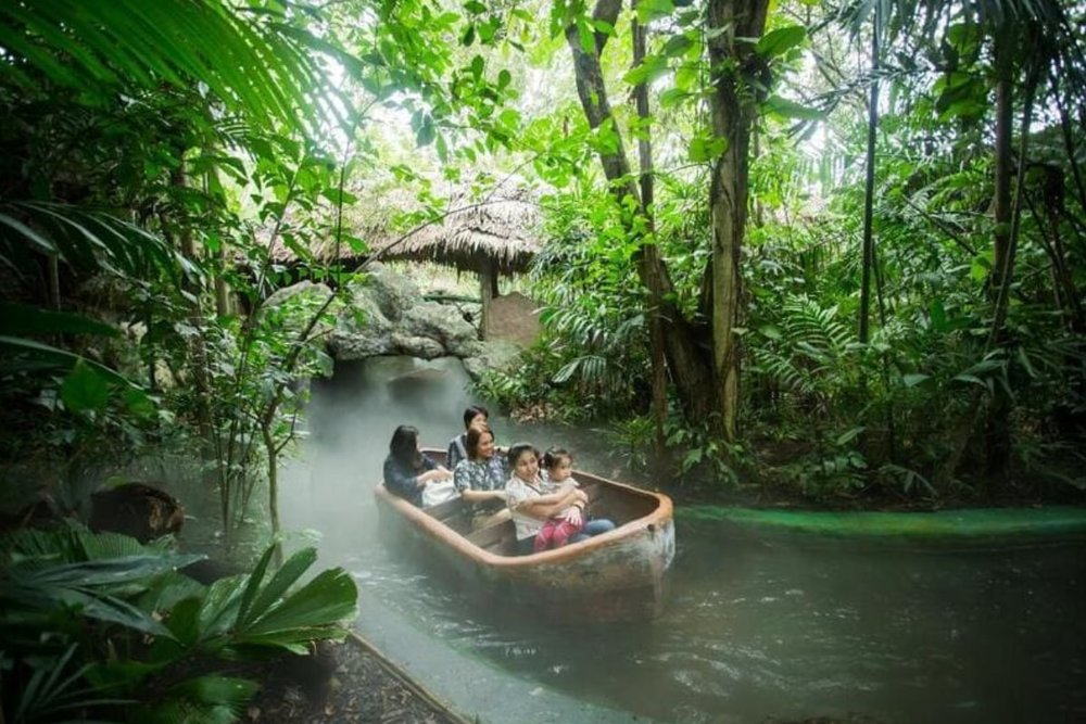Buổi Chiều: Khám Phá Marine Park và Các Show Đặc Sắc