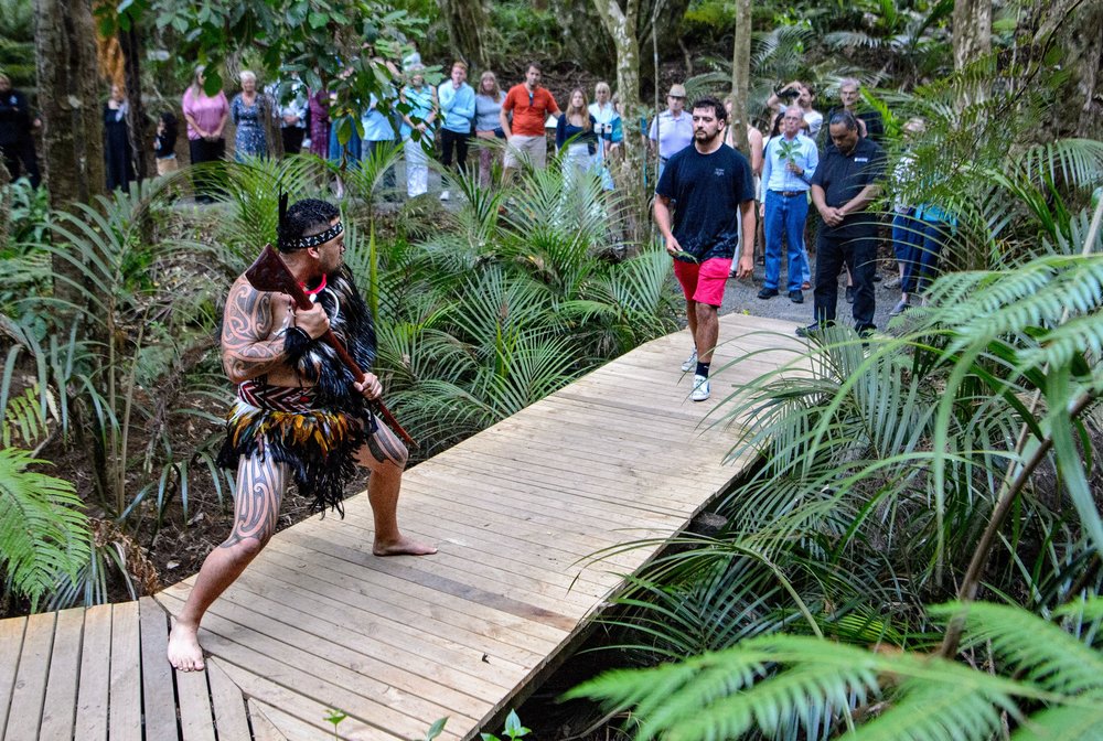 Visitors exploring the Waitangi Treaty Grounds boardwalk