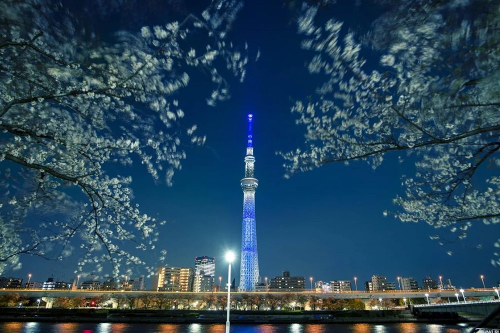 Check-in Với Ánh Sáng Skytree Light-Up Buổi Tối