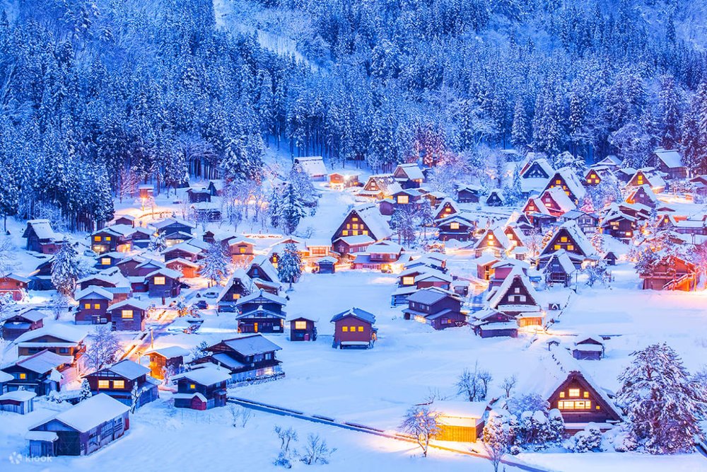 Lễ Hội Thắp Sáng Tuyệt Diệu - Winter Illumination