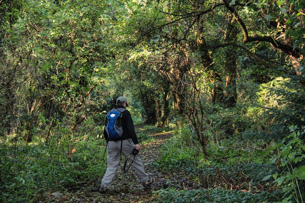 Person hiking through a wooded trail in one of London’s green spaces | Photo Credit: Flickr