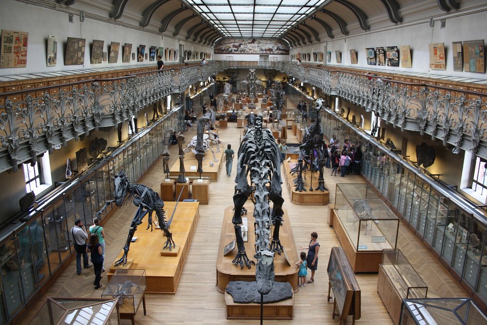 Exhibits at Muséum National d'Histoire Naturelle | Photo Credits: ParisSharing on Wikimedia