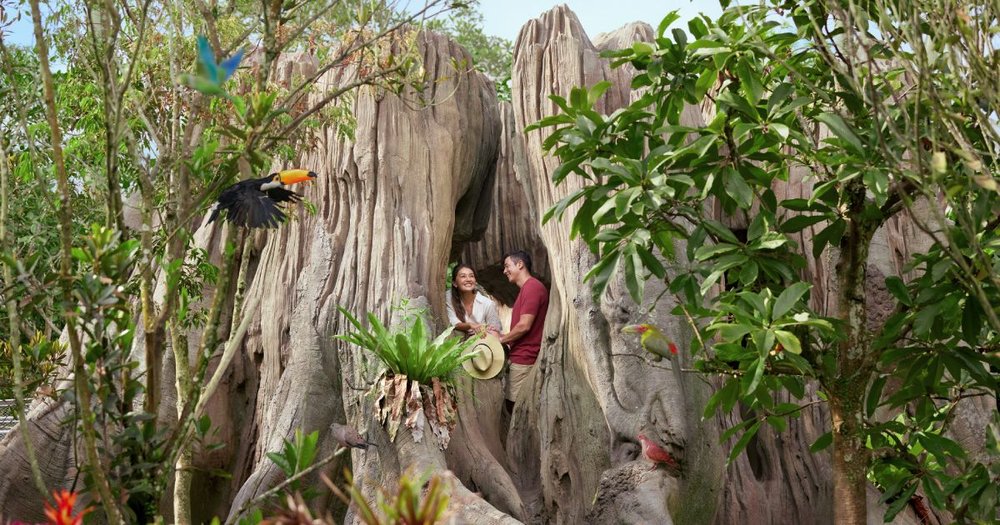 thien-duong-chim-bird-paradise