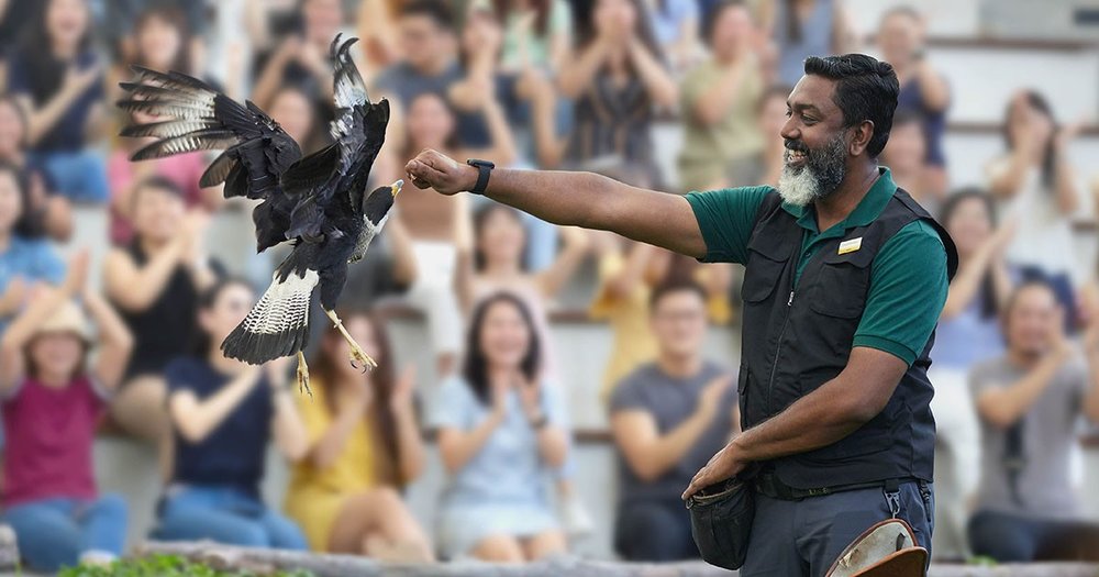 Bird Paradise Singapore: Thiên Đường Các Loài Chim Lớn Nhất Châu Á Có Gì Hot?