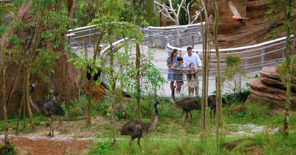  Shaw Foundation Australian Outback: Hành Trình Đến Vùng Đất Down Under