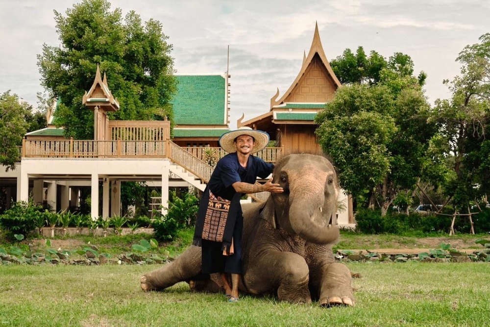 Trạm Chữa Lành Đầy Cảm Xúc Tại Công Viên Voi Bangkok (Bangkok Elephant Park)
