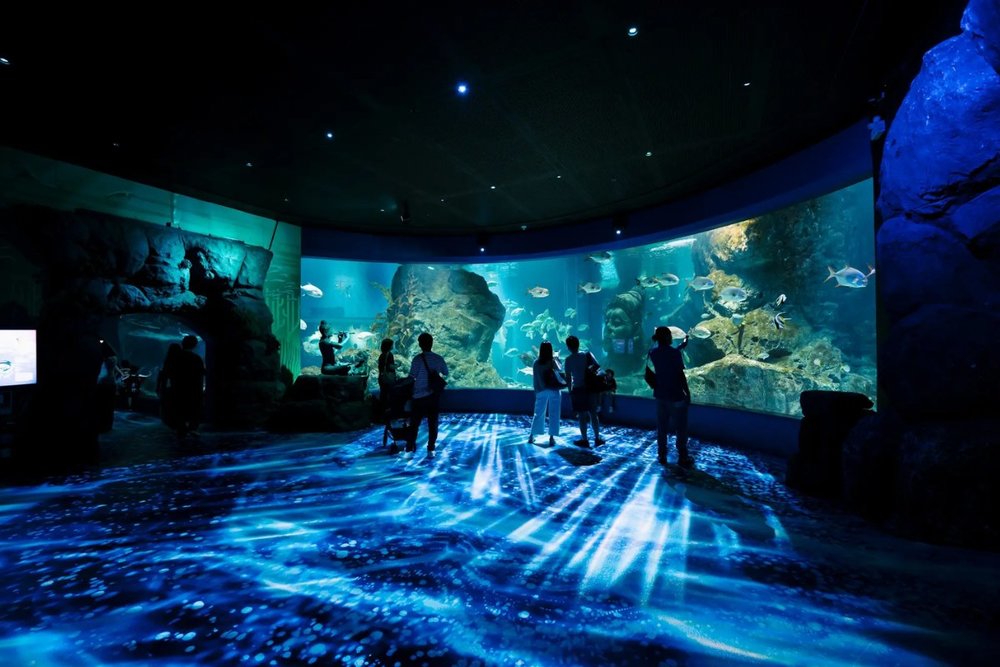 Giải Mã Đại Dương Thu Nhỏ Tại SEA LIFE Bangkok Ocean World Cực Hot