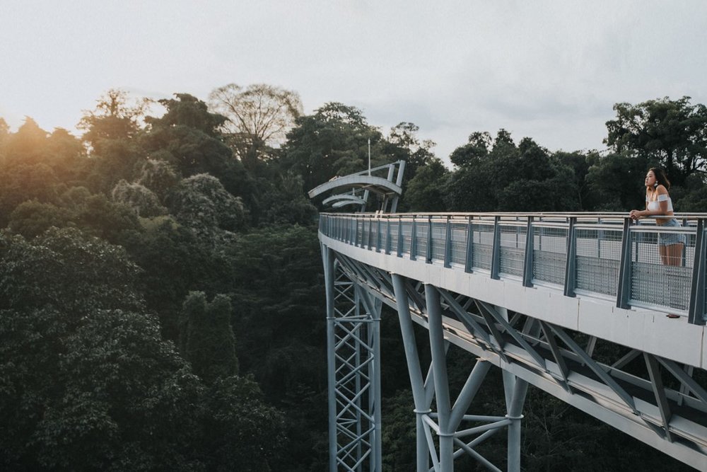 Buổi Sáng: Khám Phá Cực Nam Châu Á Và Tản Bộ Trên Không Tại Fort Siloso