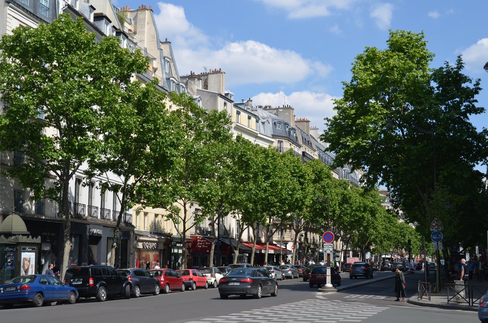Tree-lined boulevard of Saint-Germain-des-Prés in central Paris