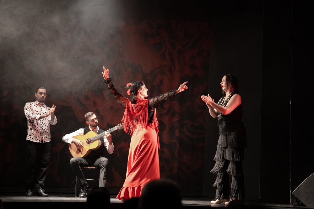 Flamenco performance in Madrid, Spain