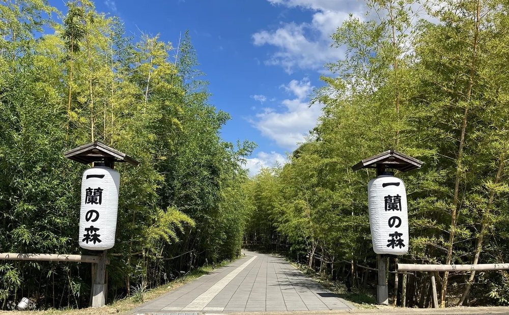 一蘭之森