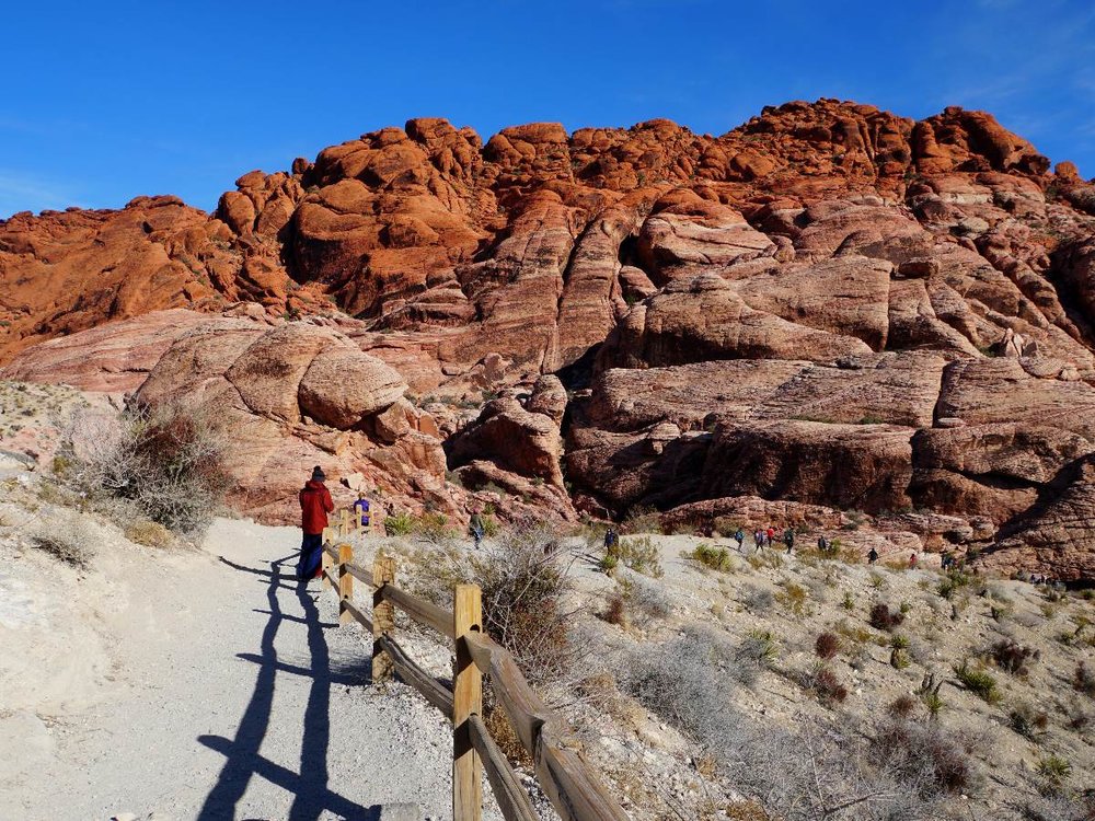 The Red Rock Canyon
