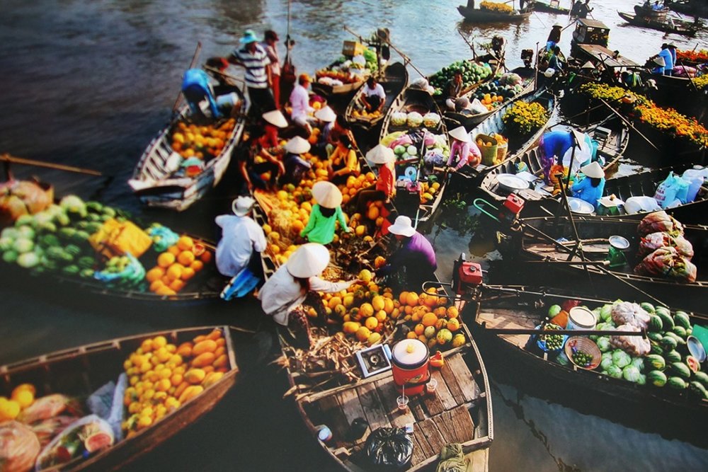 Khám Phá Phương Nam: 3 Ngày Đong Đầy Trải Nghiệm Tại Đồng Bằng Sông Cửu Long, Cái Răng & Châu Đốc