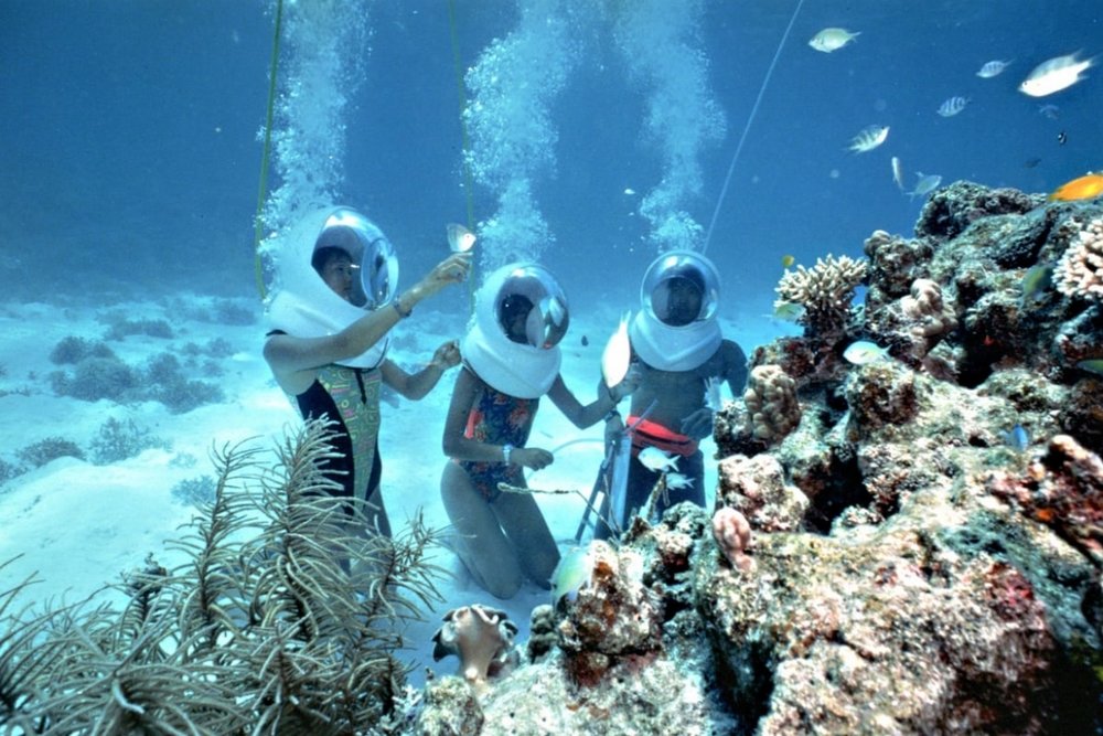 Đi Bộ Dưới Đáy Biển Sea Walker Khám Phá Rặng San Hô