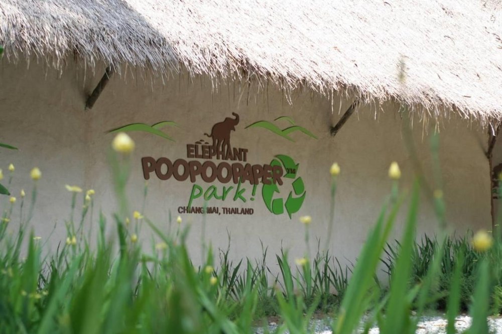 Công Viên Elephant POOPOOPAPER: Trải Nghiệm Làm Giấy Thủ Công Độc Lạ Từ Phân Voi