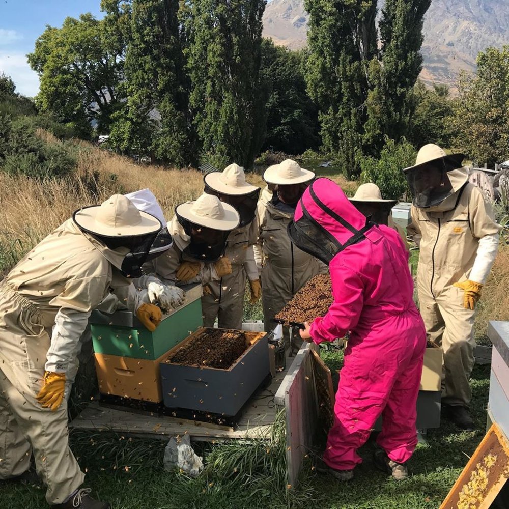 Beekeeping experience near Queenstown in New Zealand