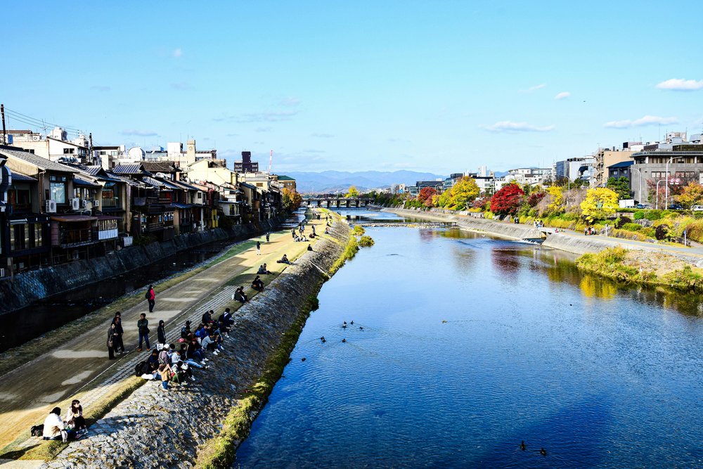 Go on a summer picnic along the Kamo River | Photo by AXP Photography on Pexels