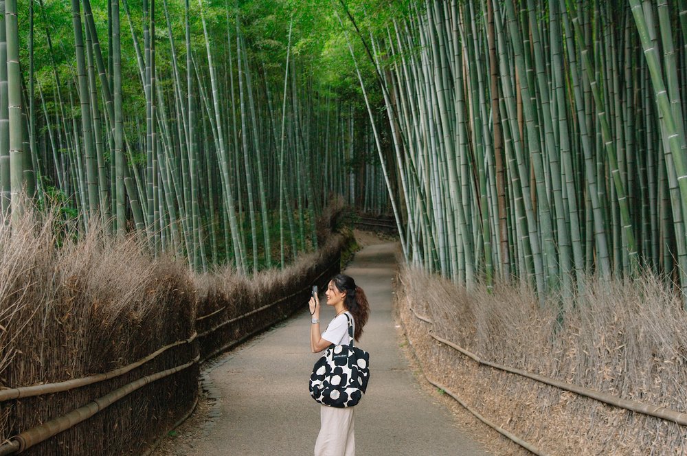 The Arashiyama Bamboo Forest