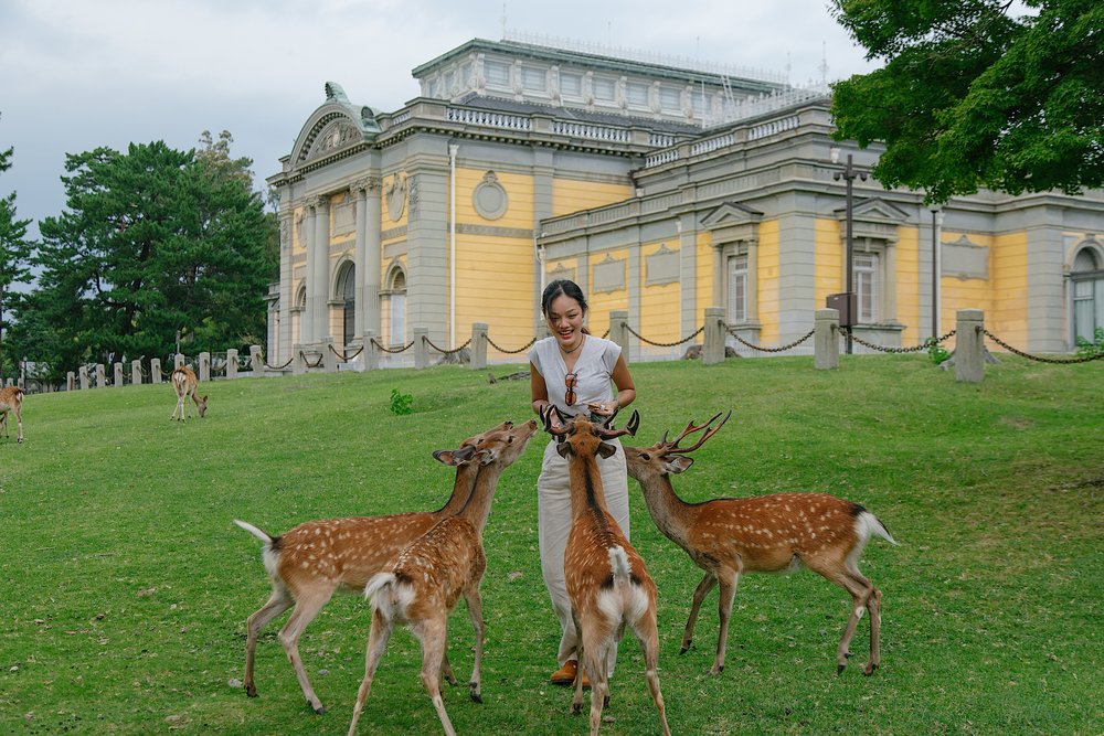 Feeding deers at Nara Park