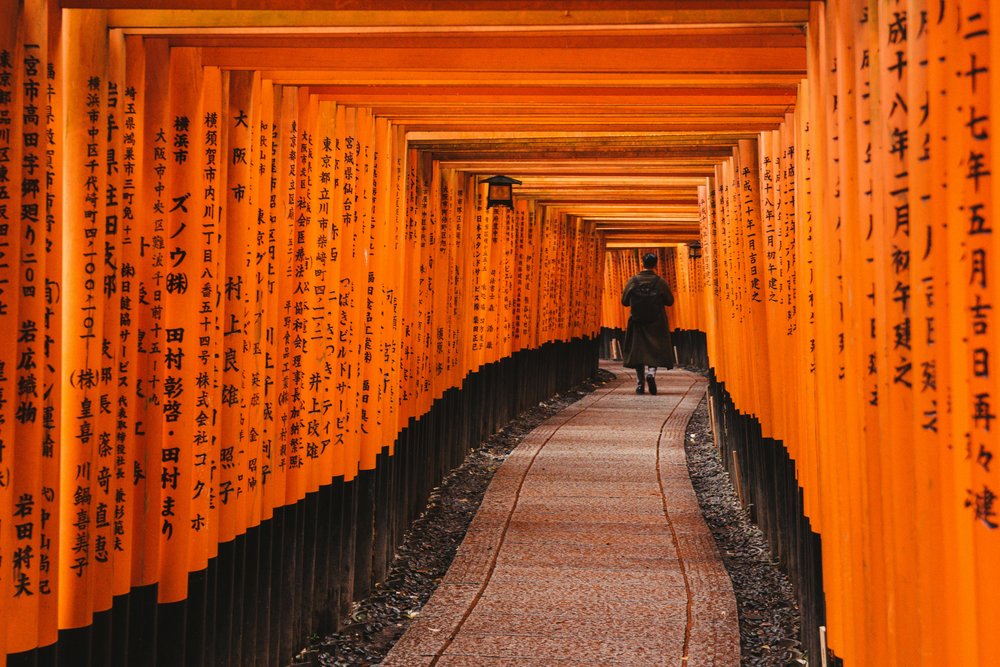 Walking through Kyoto’s Fushimi Inari torii gates | Photo Credit: DSD on Pexels