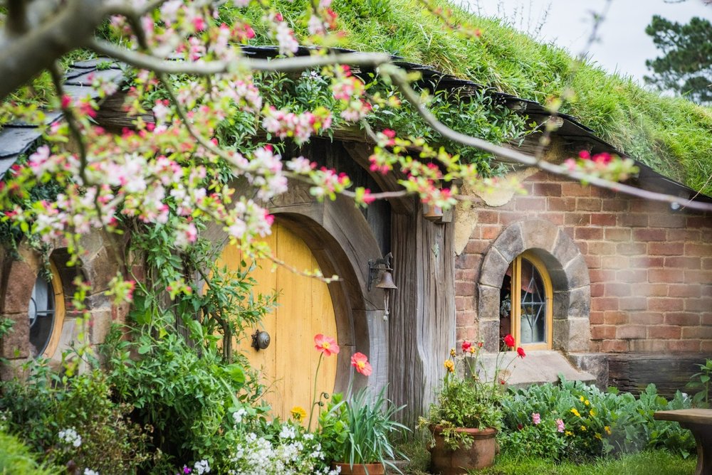 Hobbiton Movie Set cottage surrounded by flowers in Matamata