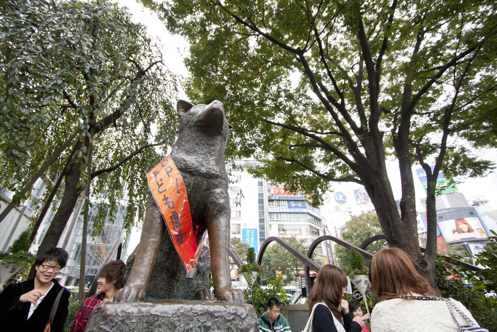 Hachiko Statue | Photo Credits: Tina Chen on Flickr