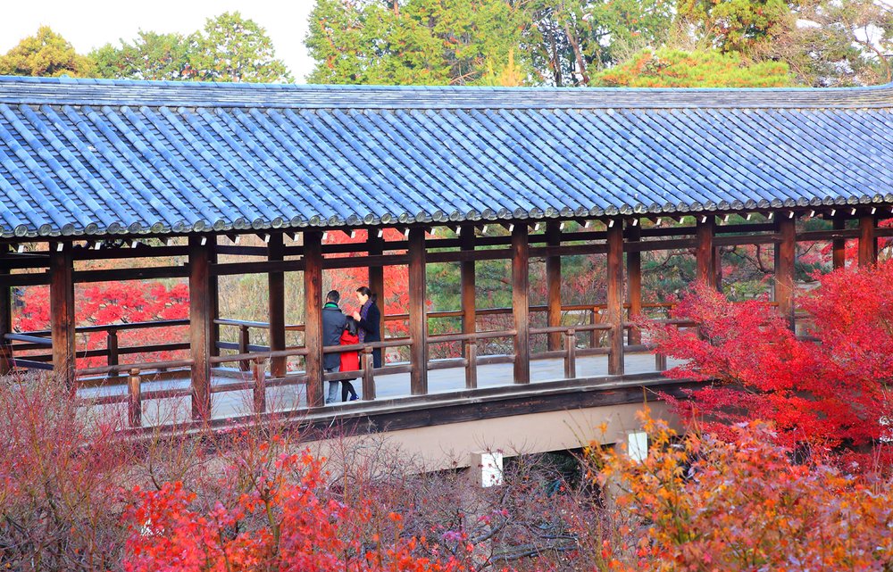 The most famous place for viewing maple leaves in Kyoto, Tofukuji Temple