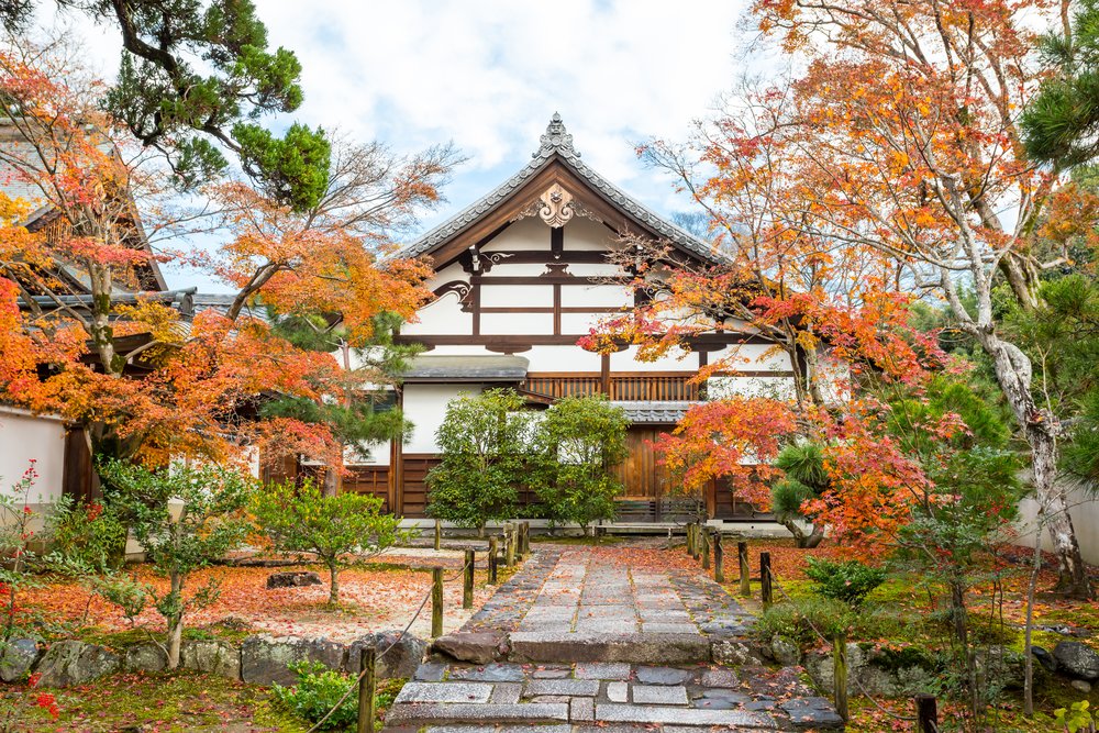 The Tenryuji Temple framed by autumn leaves