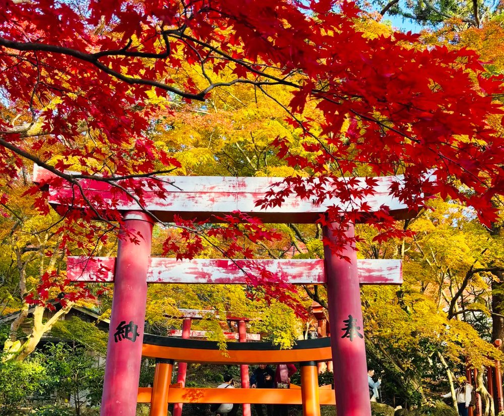 Kamado Shrine during autumn in Beppu, Oita Prefecture
