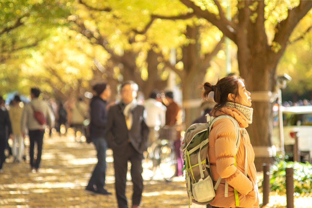 Traveler sightseeing in Japan during autumn