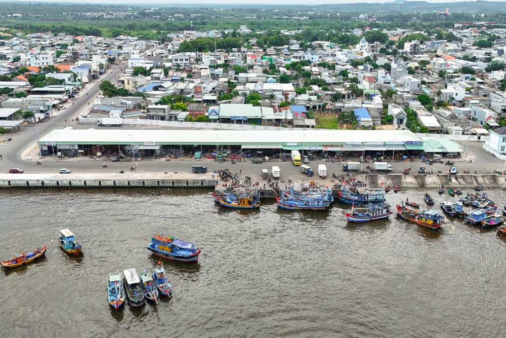Trải Nghiệm Nhịp Sống Làng Biển Tại Cảng Cá Bình Châu