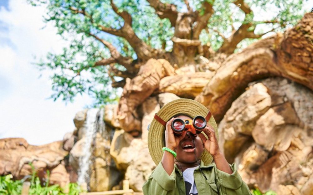 Disney's Animal Kingdom: Bay Trên Lưng Rồng Tại Pandora