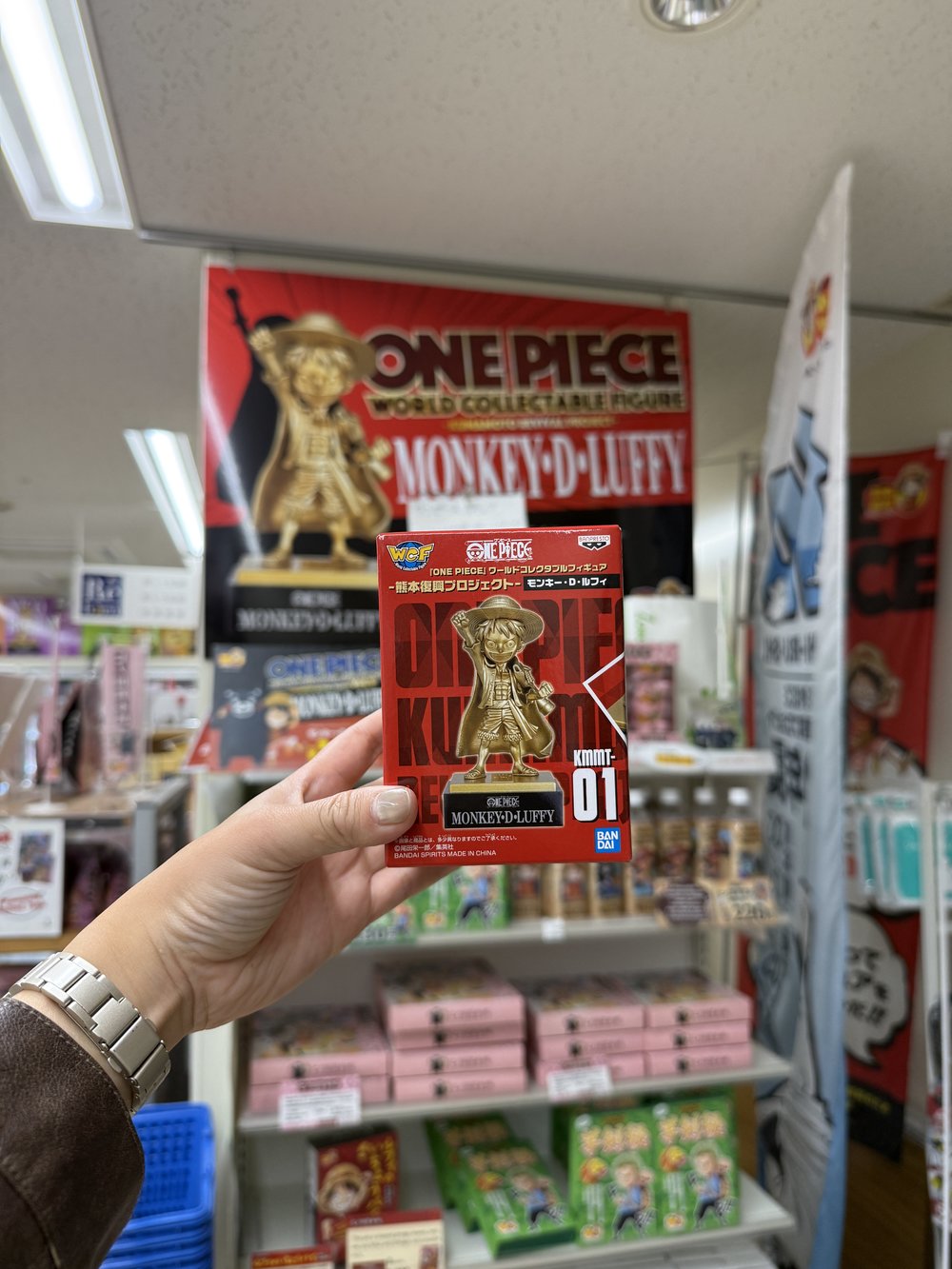 One Piece Collectibles