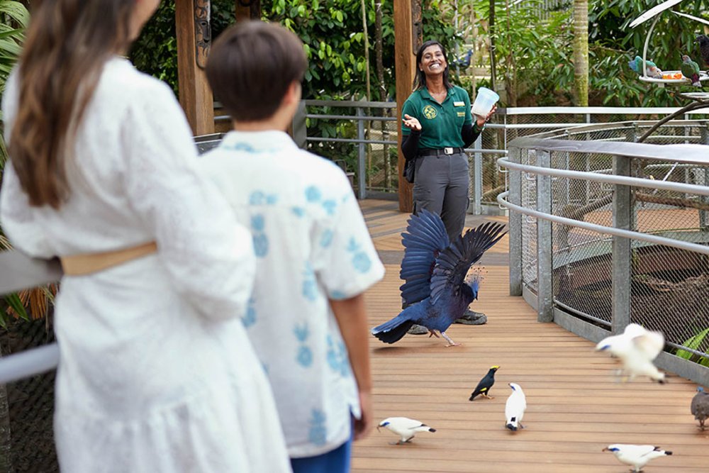 The bird feeding sessions are a highlight here in Bird Paradise