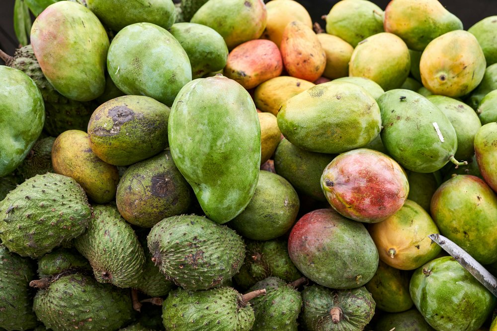 Fresh mangoes and soursop