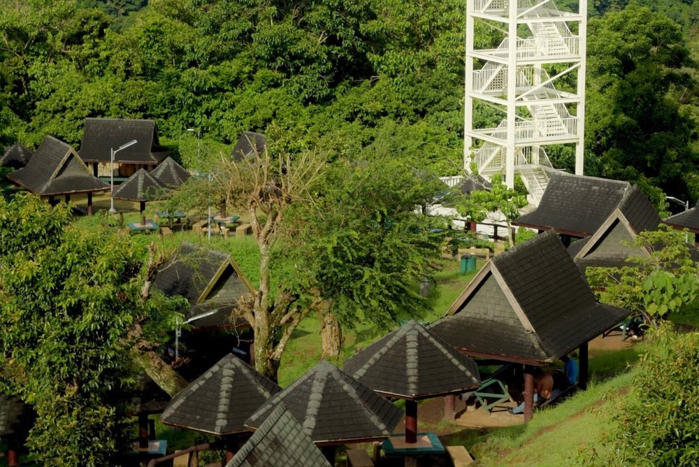 Tagaytay Picnic Grove